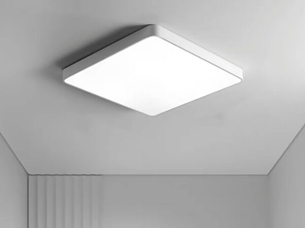 CEILING Light 1